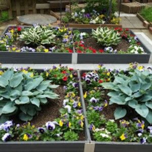 Meet your Posher, Pyong